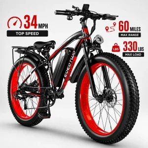 EOEOTWO Fat Tire Electric Bike